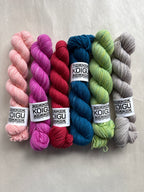 Koigu Hand-Dyed Premuim Merino