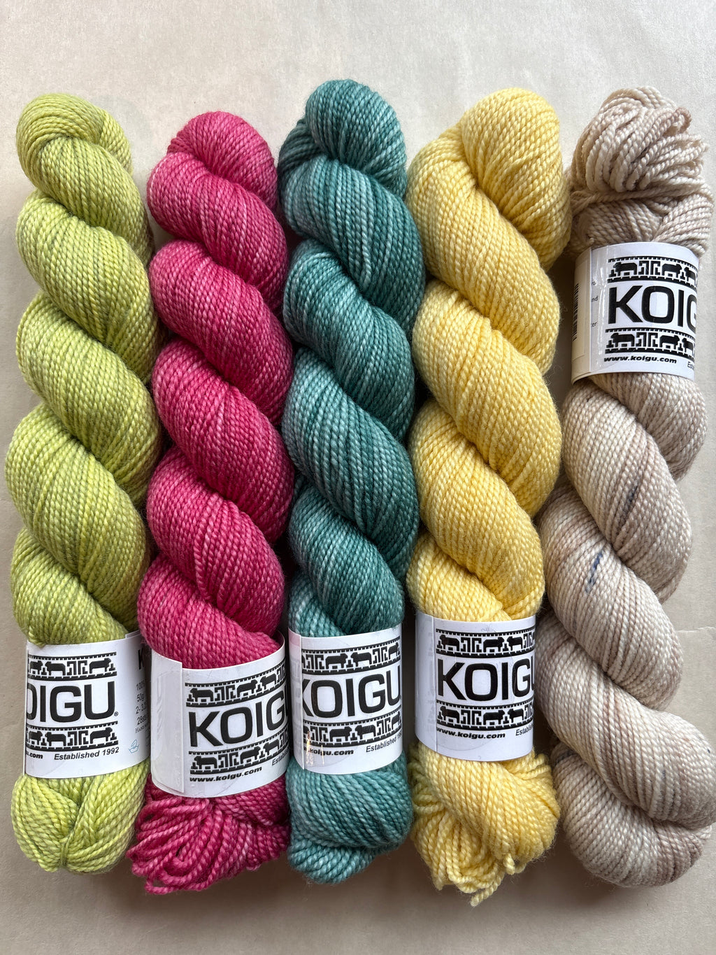 Koigu Hand-Dyed Premuim Merino