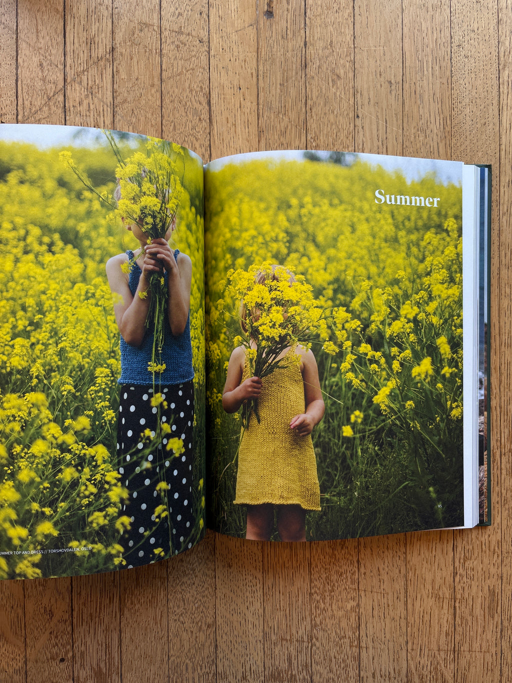 A Knitter's Year