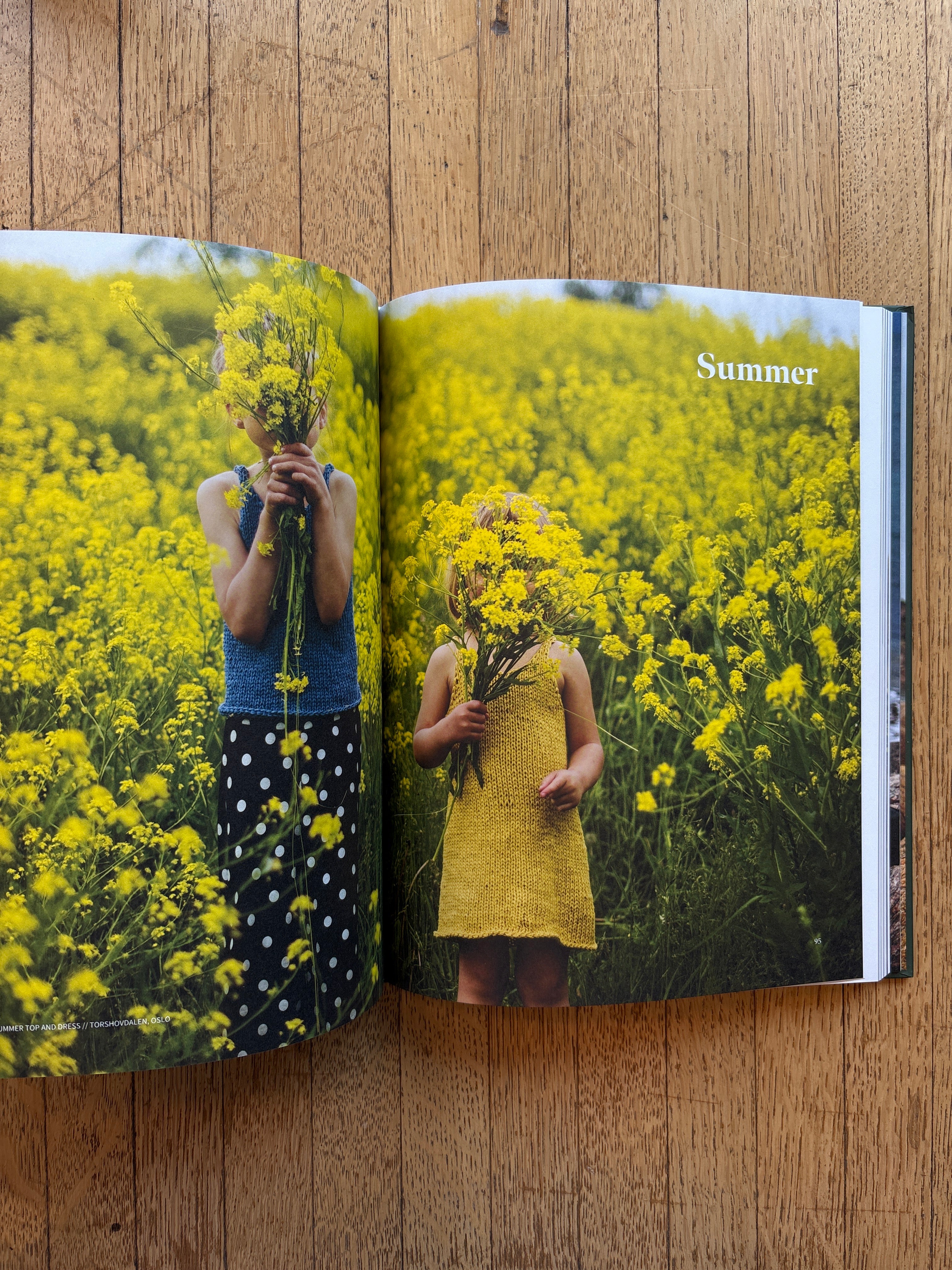 A Knitter's Year