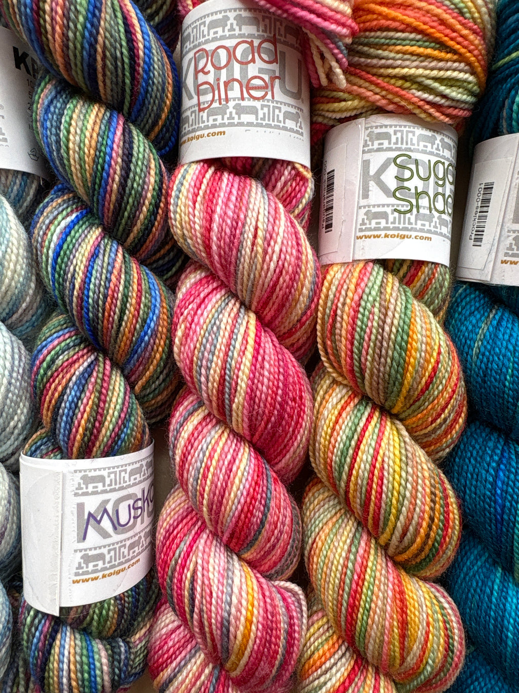 Koigu KPPPM Road Trip Series