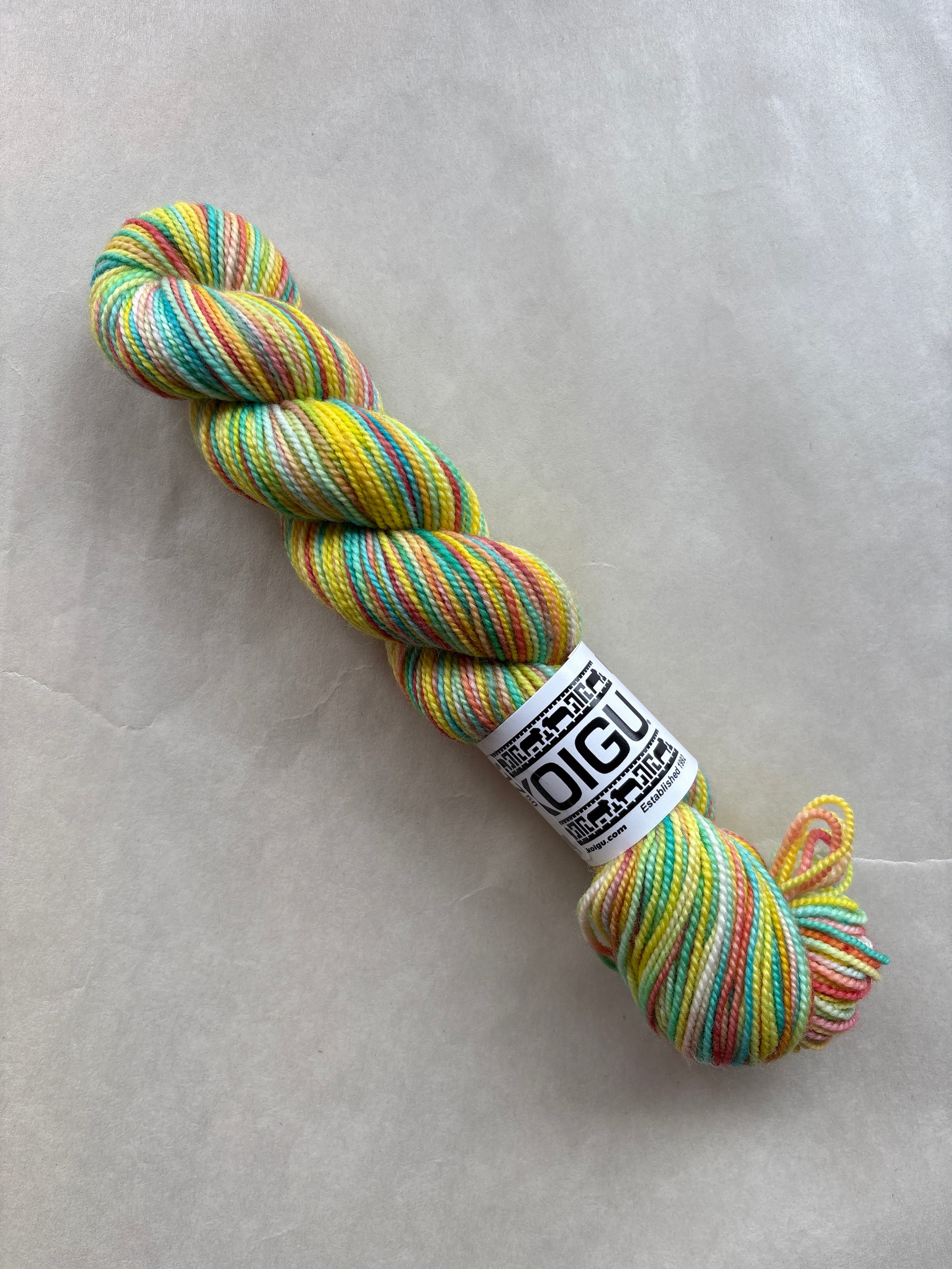Koigu Hand-Dyed Premuim Merino