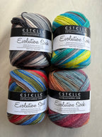 Evolution Sock
