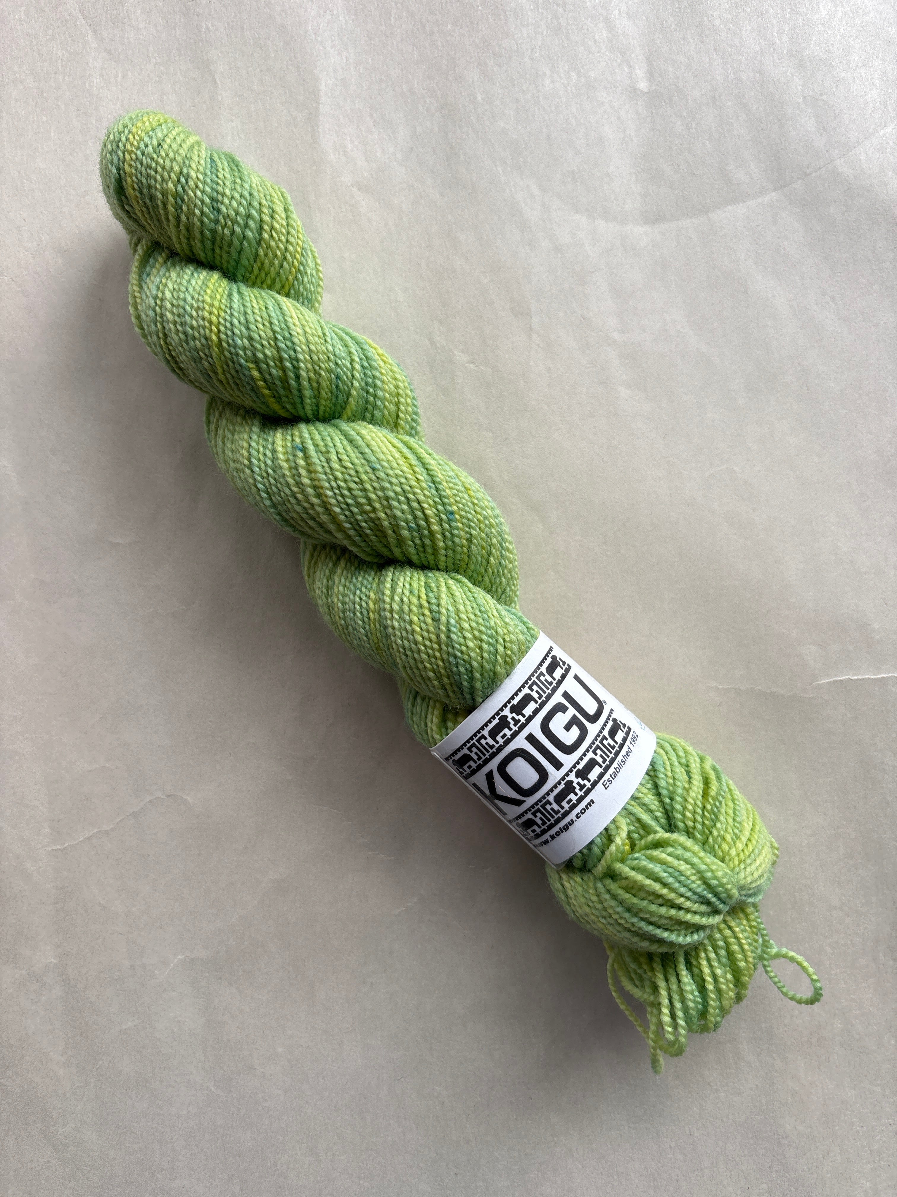 Koigu Hand-Dyed Premuim Merino