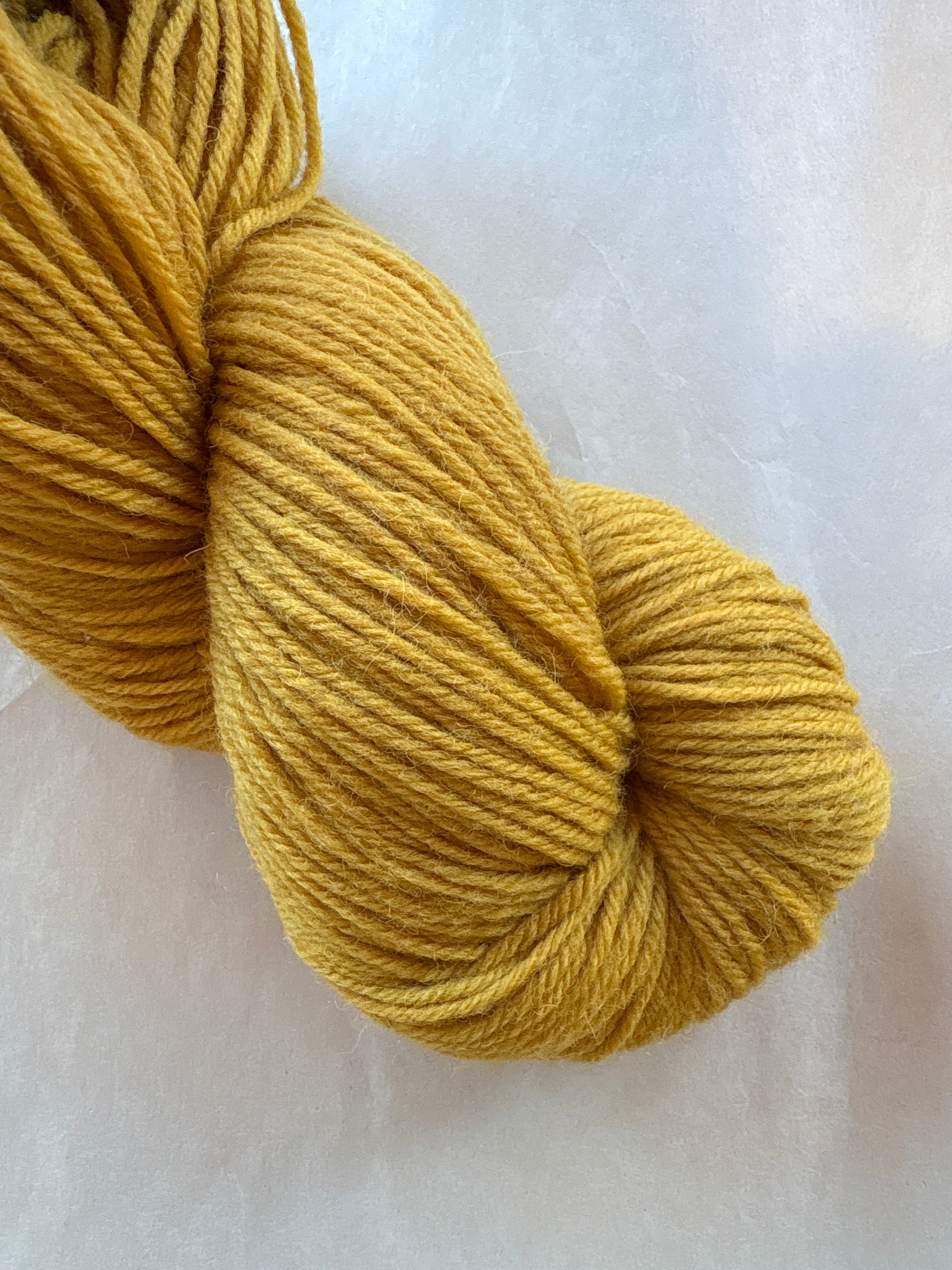 Falkland Worsted (Organic)