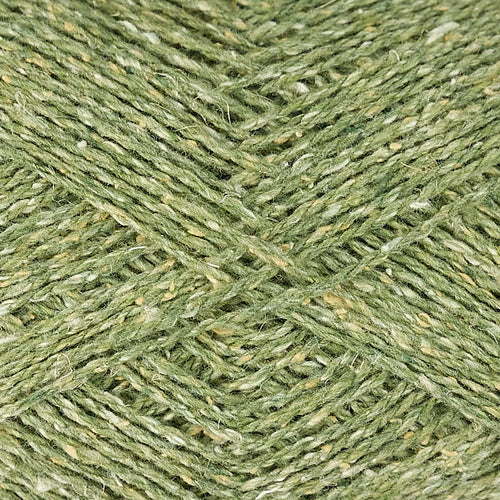 Fern - 6921