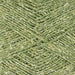 Fern - 6921