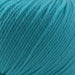 Dark Aqua - 849