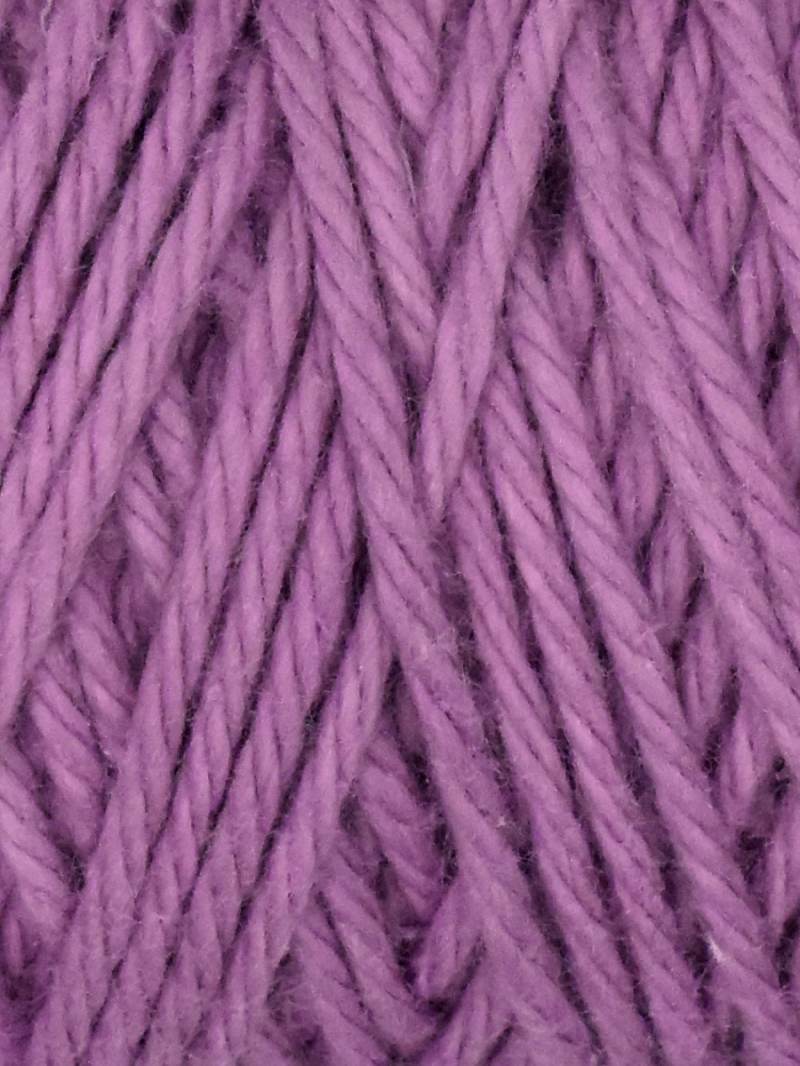 Orchid - 1043