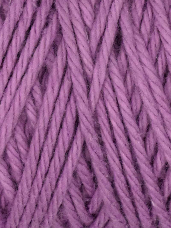 Orchid - 1043