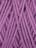 Orchid - 1043