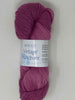 Blushing Rose - 5230