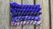 Blue Flag Iris