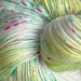 Litchi - 67