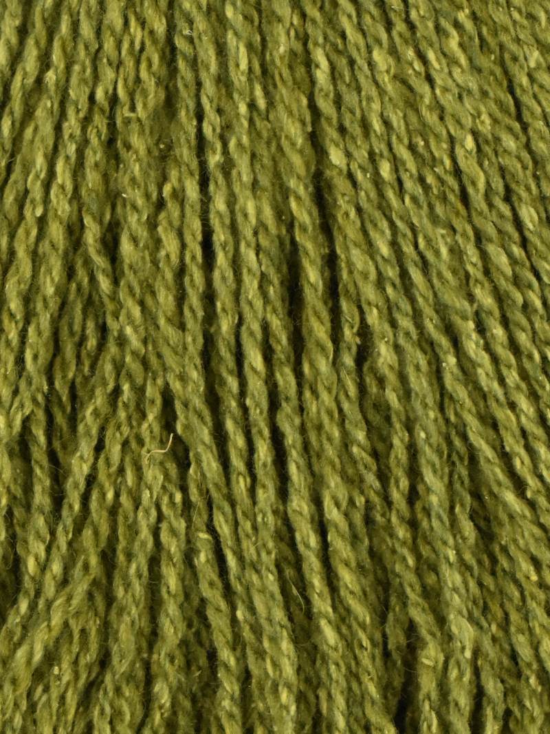 Fern - 251