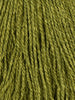 Fern - 251