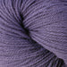 Delphinium - 2155