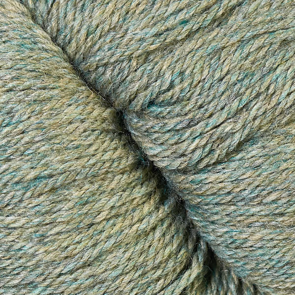 Okra - 21195