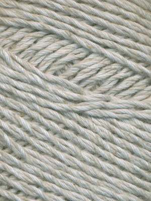 Snow Leopard - 80