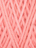 Carnation - 1059