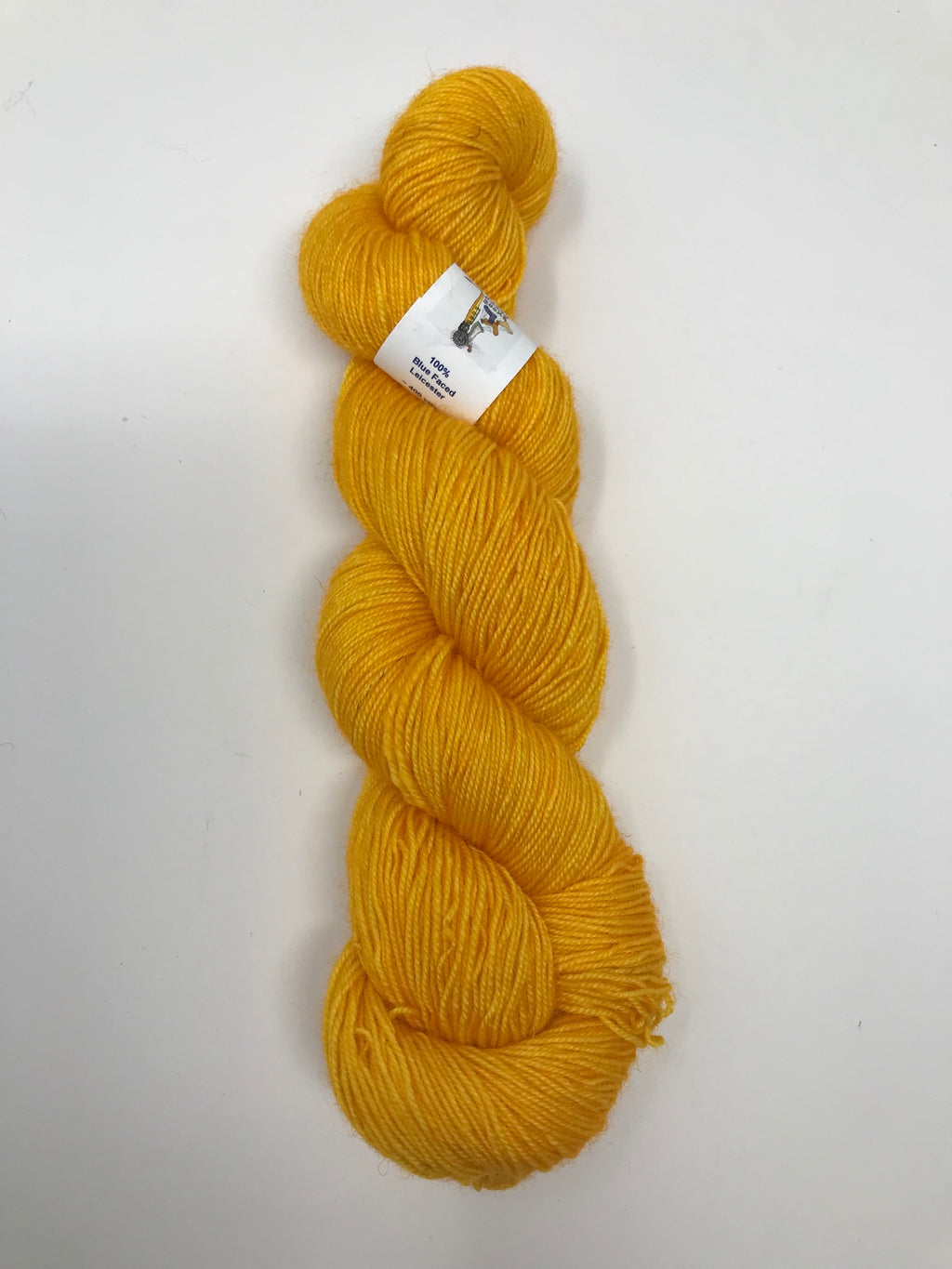 Golden Daffodil