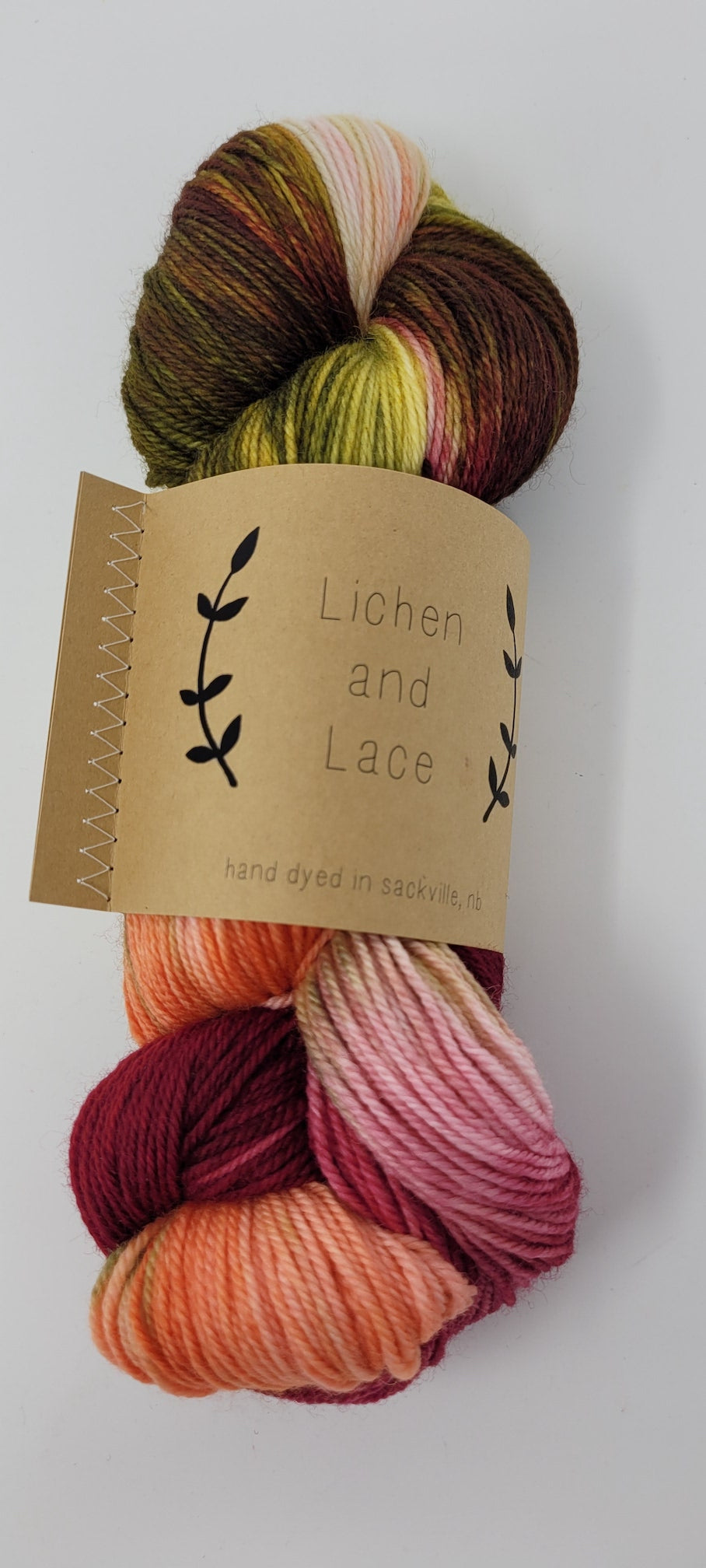 Lichen and Lace 80-20 Sock – Riverside Yarns