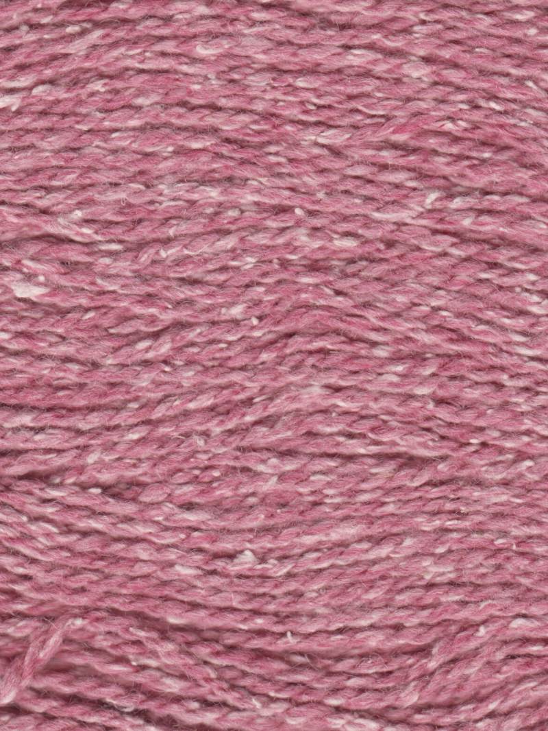 Carnation - 218